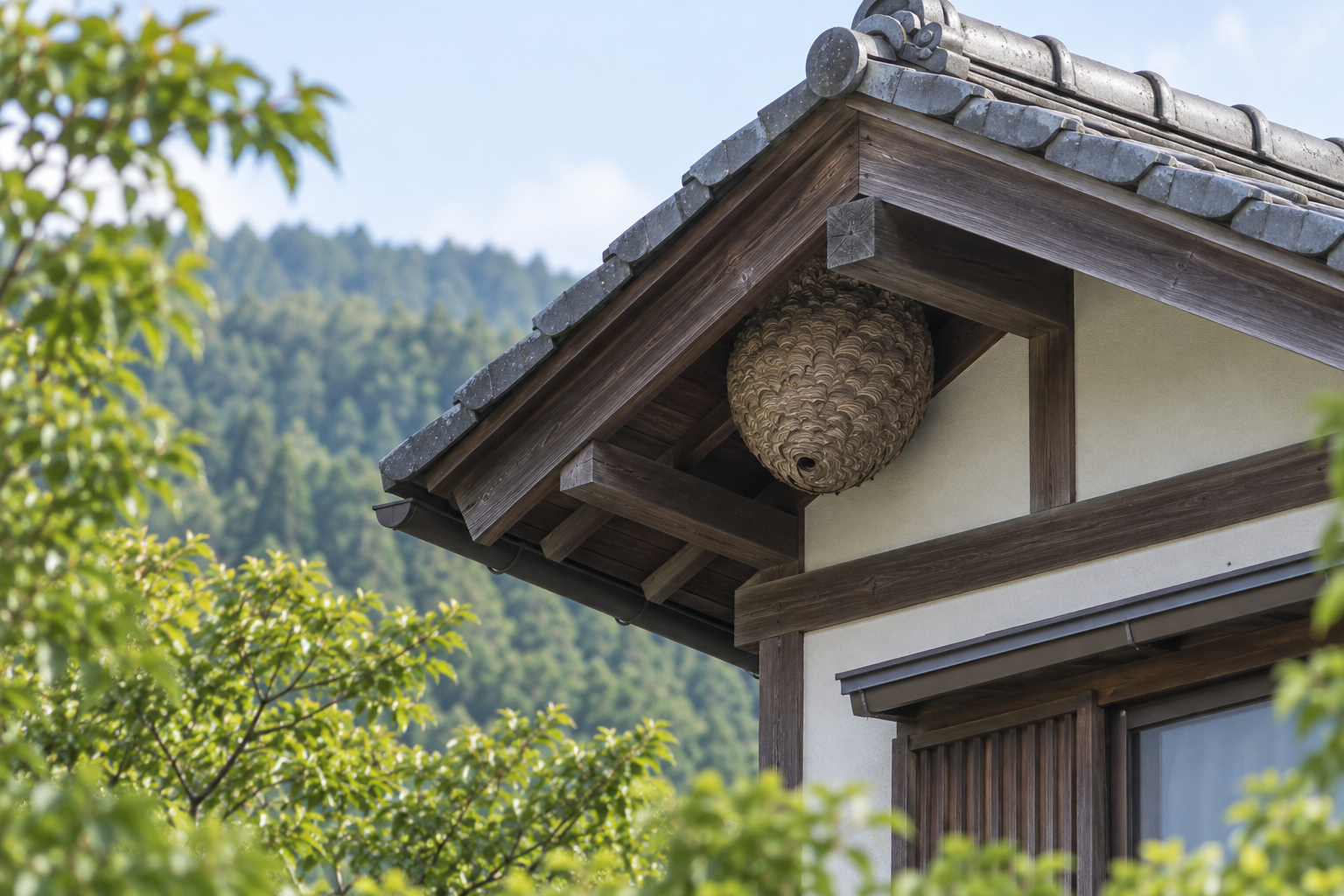 瓦屋根の軒下に外皮のある大きな蜂の巣が付いた住宅のイメージ画像